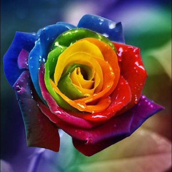 Meet your Posher, Lilli mae - Picture 1 of 1